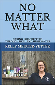 No Matter What by Kelly Meister - cover